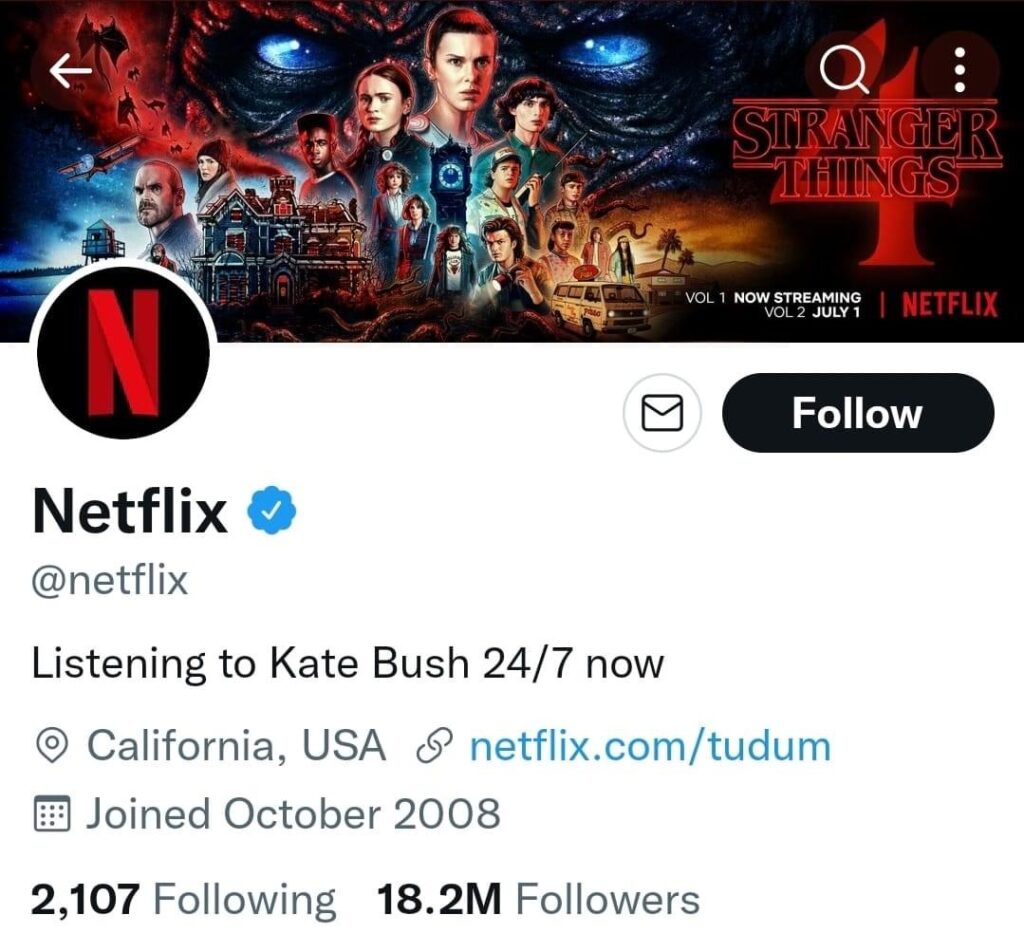Netflix tagline - listening to Kate Bush 24/7 now