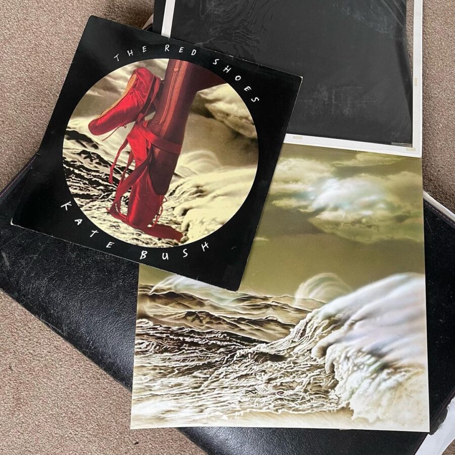 original airbrush illustration by Mark Wilkinson we had commissioned for the album cover The Red Shoes.