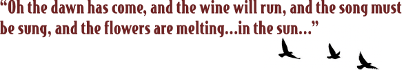 Aerial song quote
