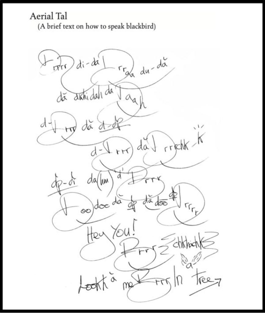 The lyrics for Aerial Tal as included in Kate’s book of lyrics, ‘How To Be Invisible’