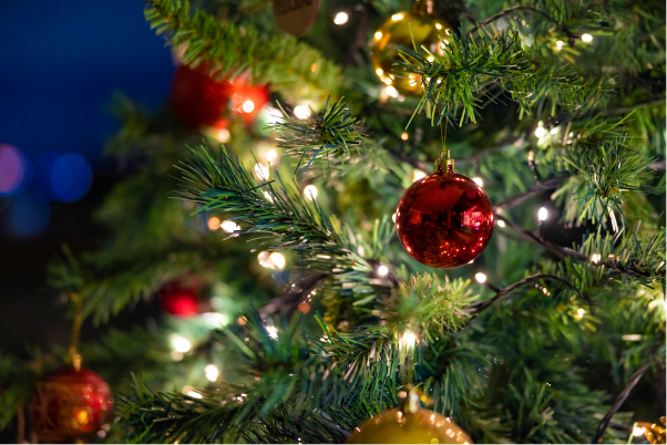 Christmas image from Kate's official site