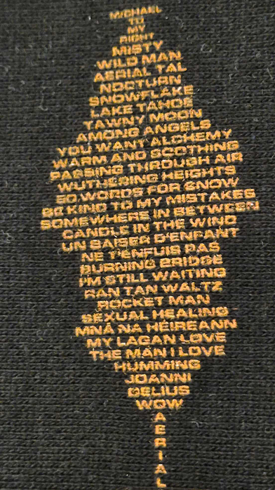 Kate Bush Remastered Hoodie with soundwave song titles design (detail)