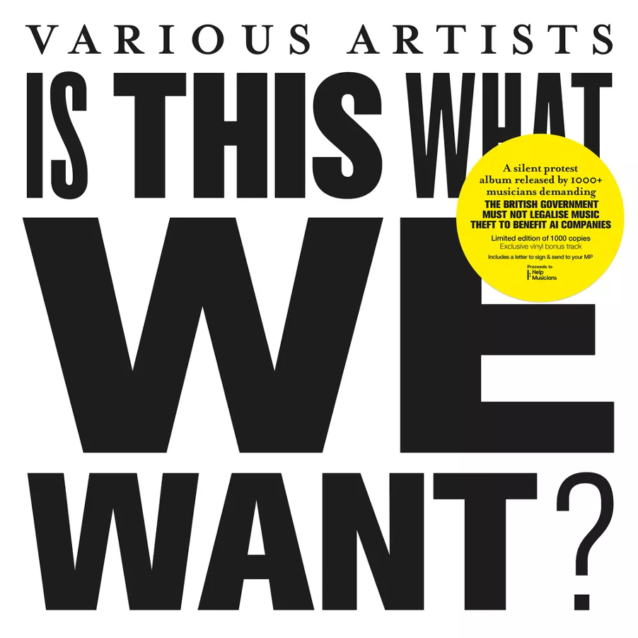 Various Artists – Is This What We Want? Limited vinyl