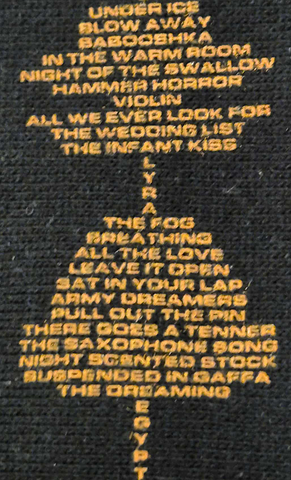 Kate Bush Remastered Hoodie with soundwave song titles design (detail)