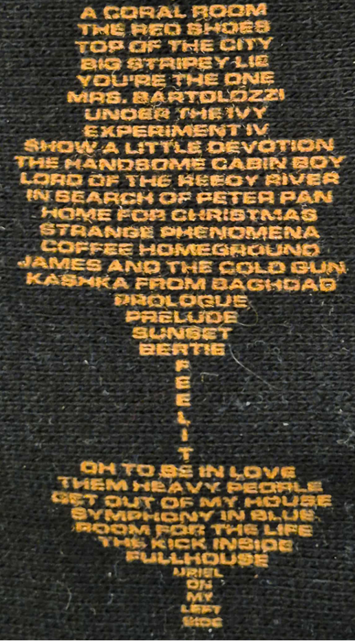 Kate Bush Remastered Hoodie with soundwave song titles design (detail)