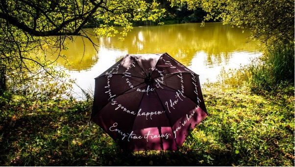 Cloudbusting umbrella - from Kate's official site store