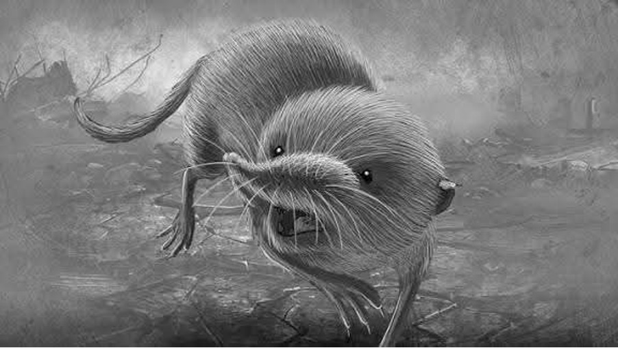 Still from Kate’s short animation, Little Shrew