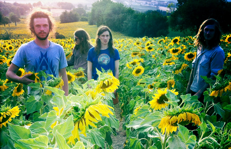 Syd-Arthur-Promo-2012-Sunflowers-Web