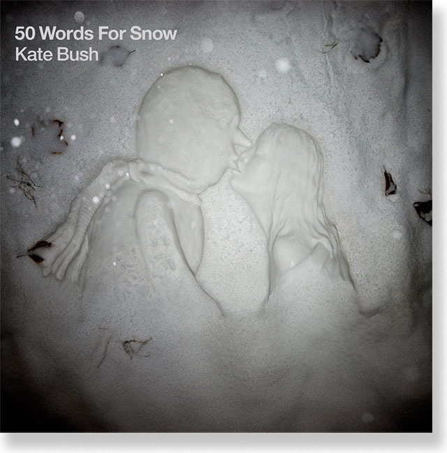 Fifty Words For Snow