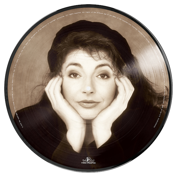 pic disc back small