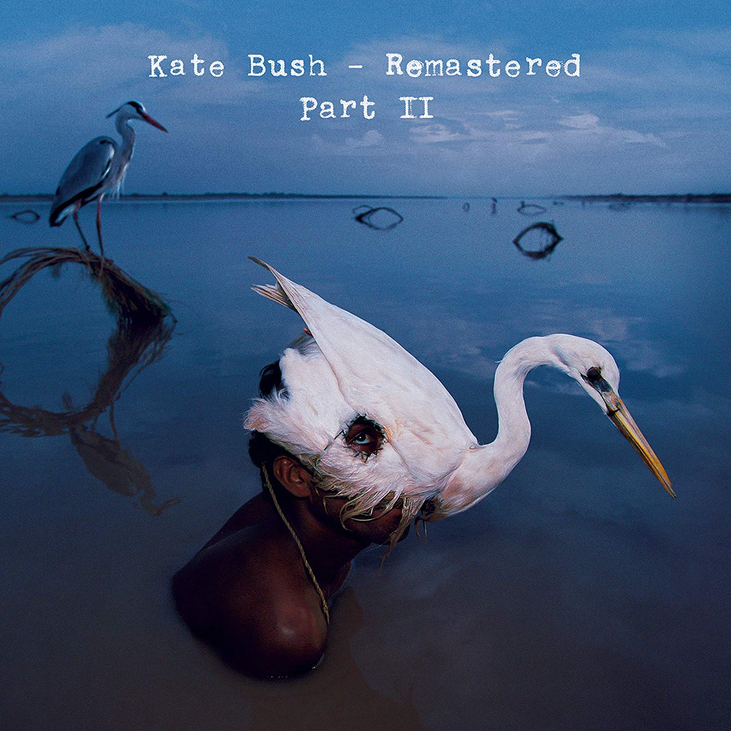 Kate Bush: REMASTERED | Kate Bush News